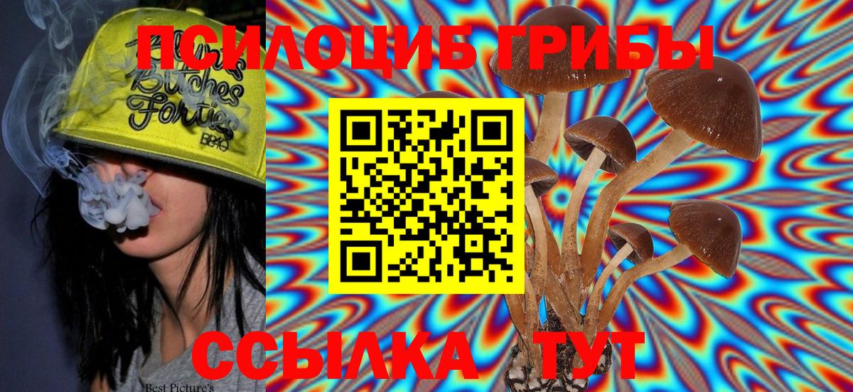 Псилоцибиновые грибы MAGIC MUSHROOMS  Вход с VPN  Кулебаки  Галлюциногенные грибы мицелий 