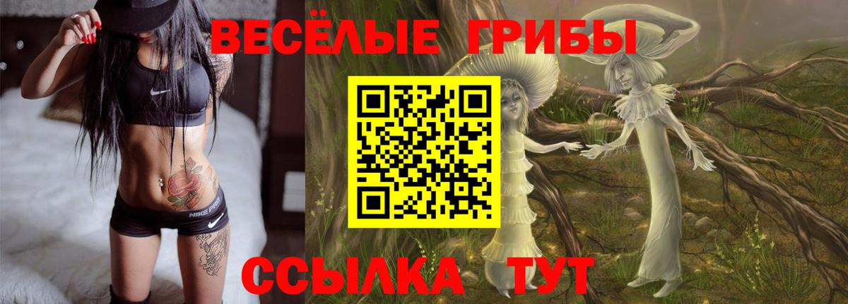 Псилоцибиновые грибы мухоморы Кулебаки